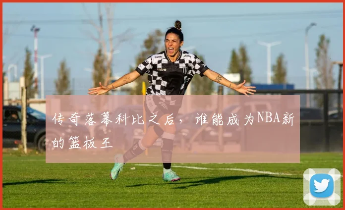 传奇落幕科比之后,谁能成为NBA新的篮板王