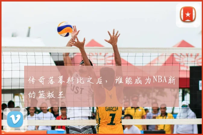 传奇落幕科比之后，谁能成为NBA新的篮板王